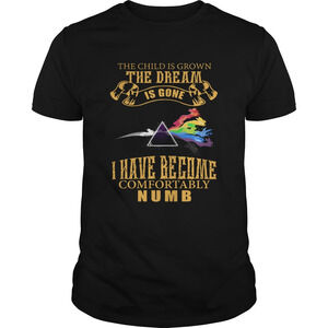 The Child Is Grown The Dream Is Gone I Have Comfortably Numb  Floyd Shirt